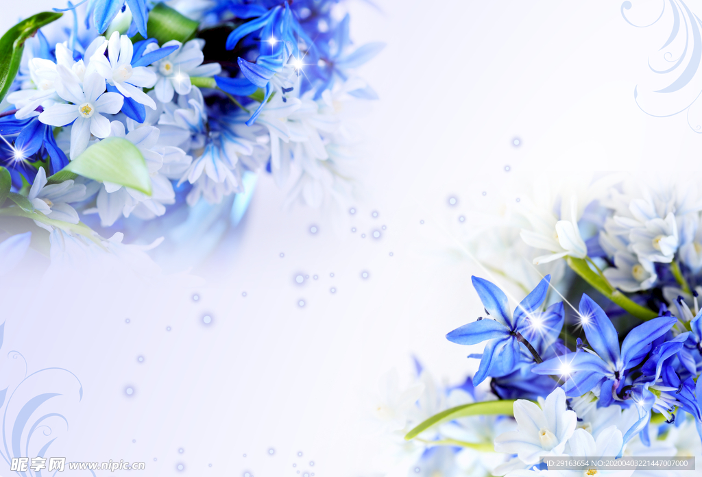 花卉