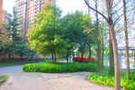 公园小路