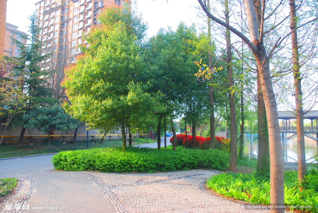 公园小路