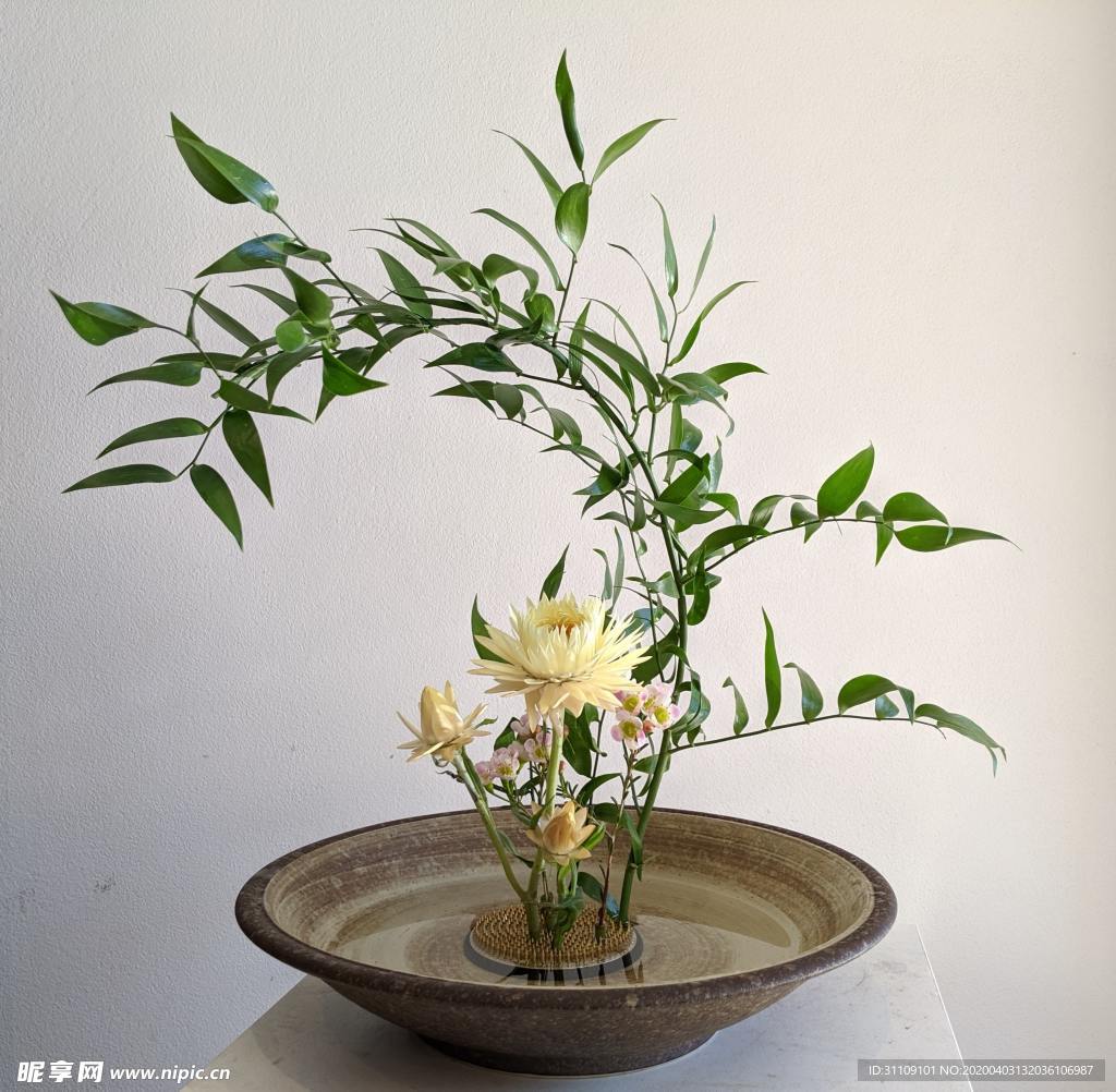 春天花艺