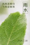 雨季