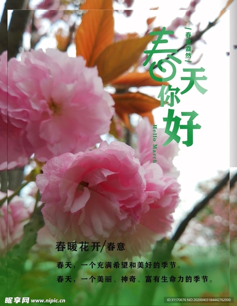 春天你好