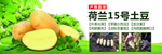 土豆