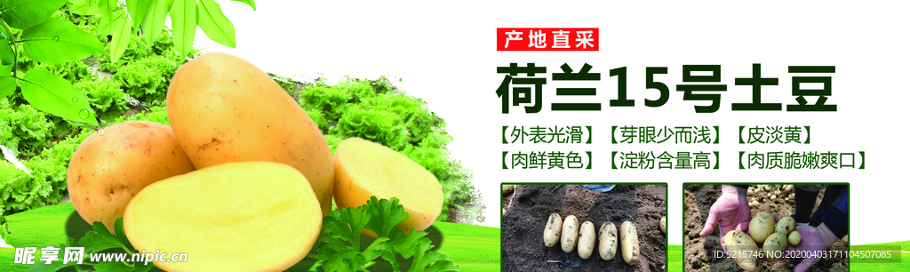 土豆