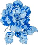 多彩矢量花