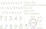 矢量树叶数字字母