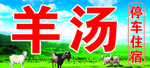 羊汤