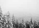 下雪