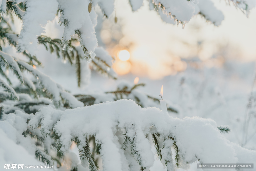 雪景