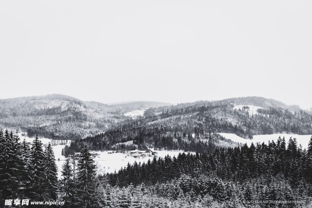 雪景