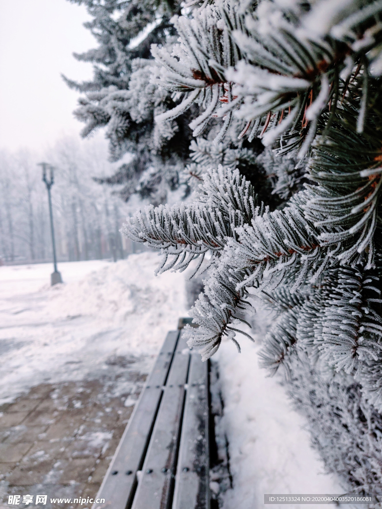 雪景