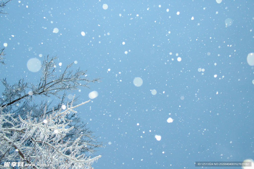 雪景