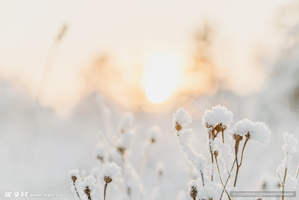 雪景