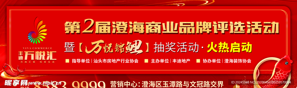 锦鲤