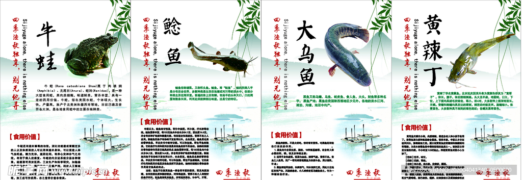 鱼类简介
