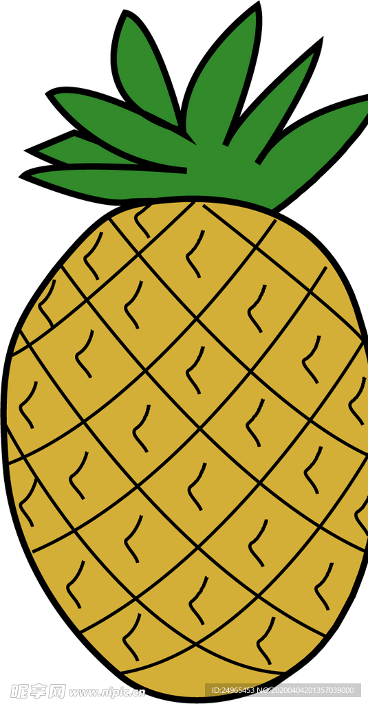 矢量菠萝