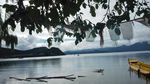 泸沽一叶
