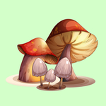 蘑菇