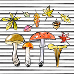 香菇