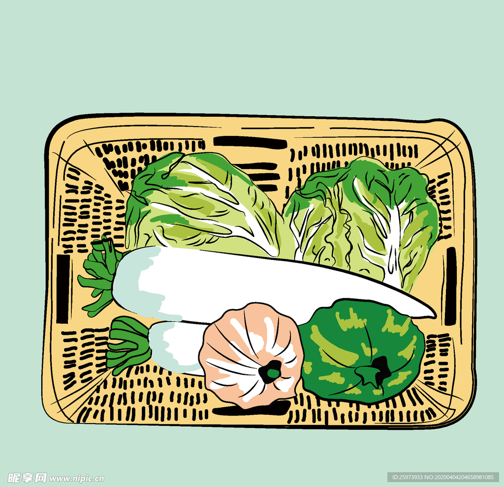 大白菜