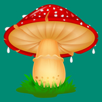 蘑菇