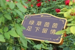 爱护花草牌