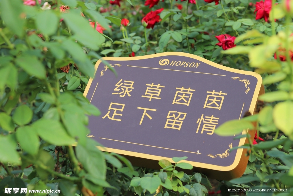 爱护花草牌