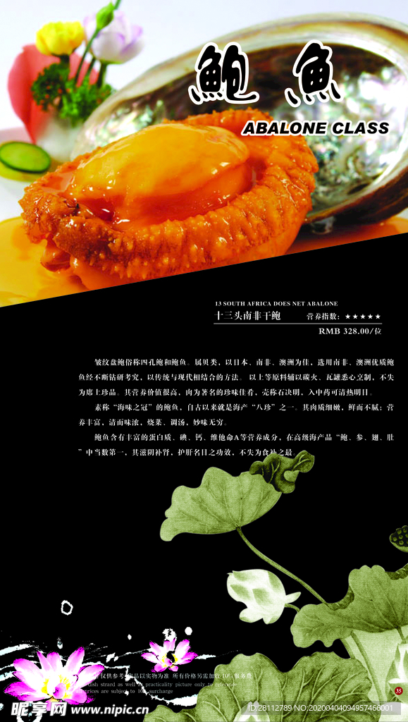 鲍鱼