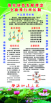 河长制