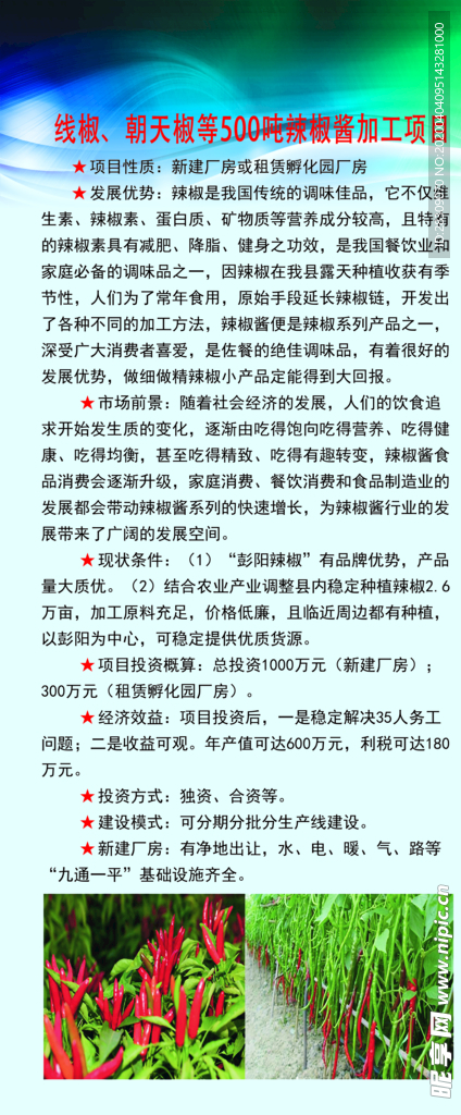 辣椒