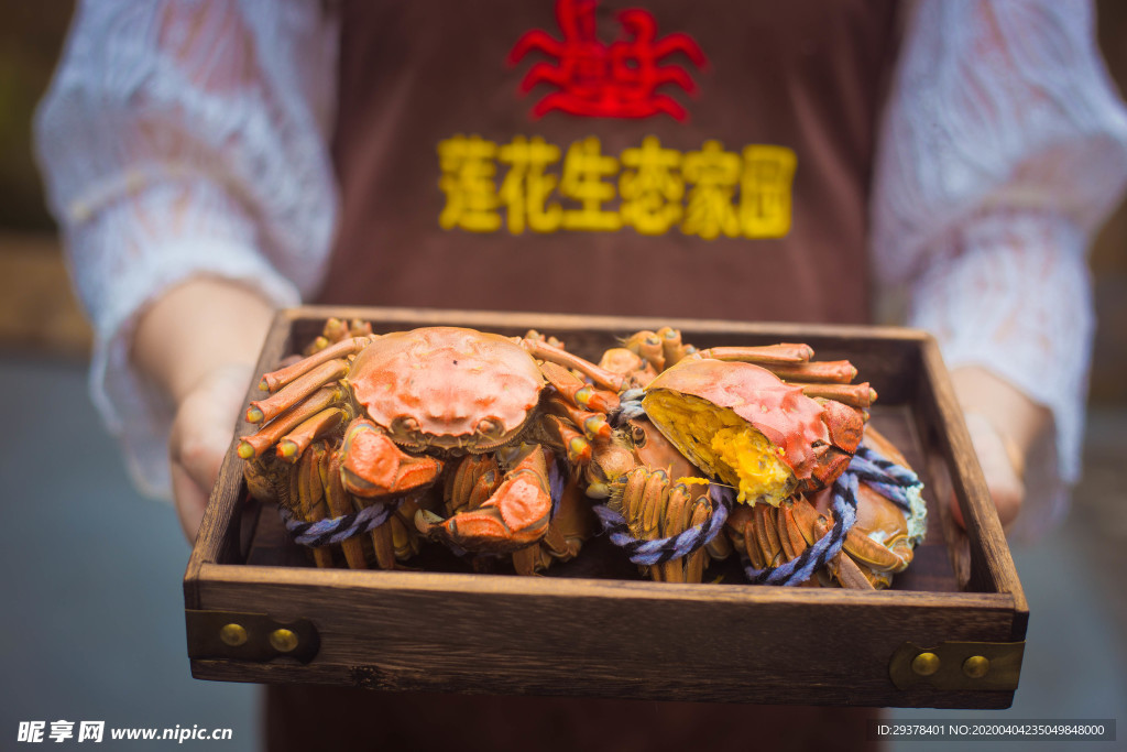 大闸蟹