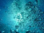 水泡