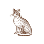 猫