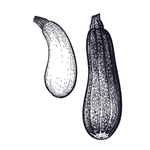蔬菜