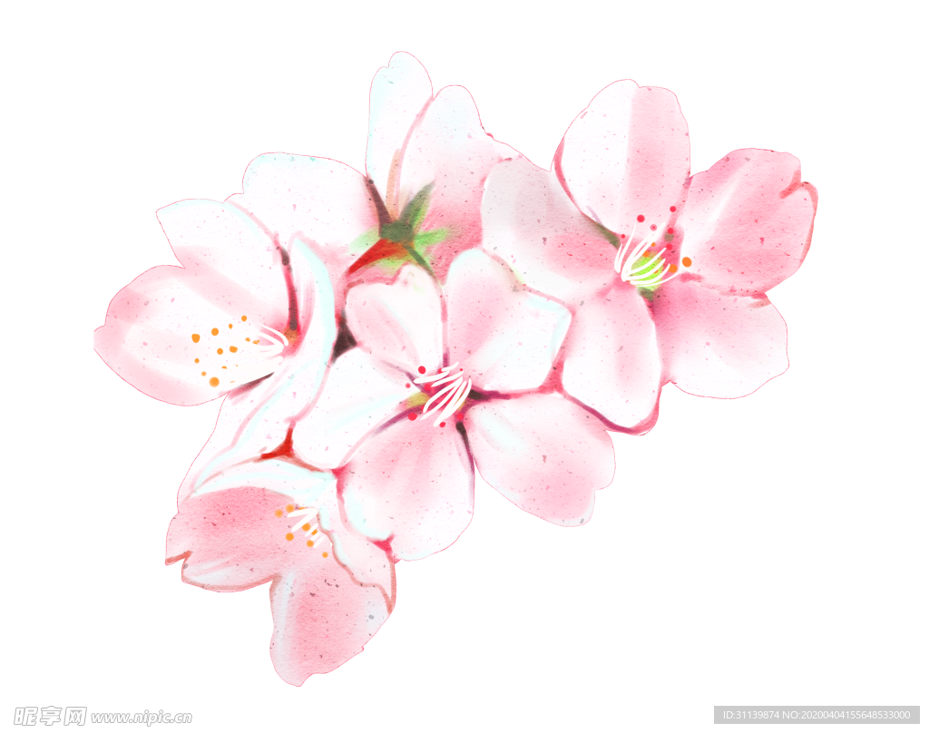 手绘花