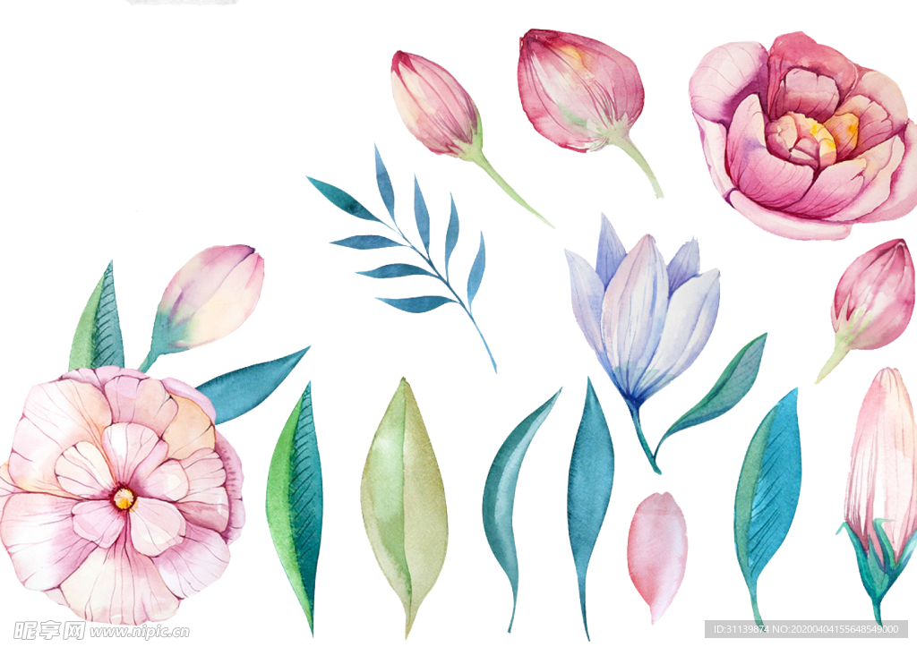 玫瑰花