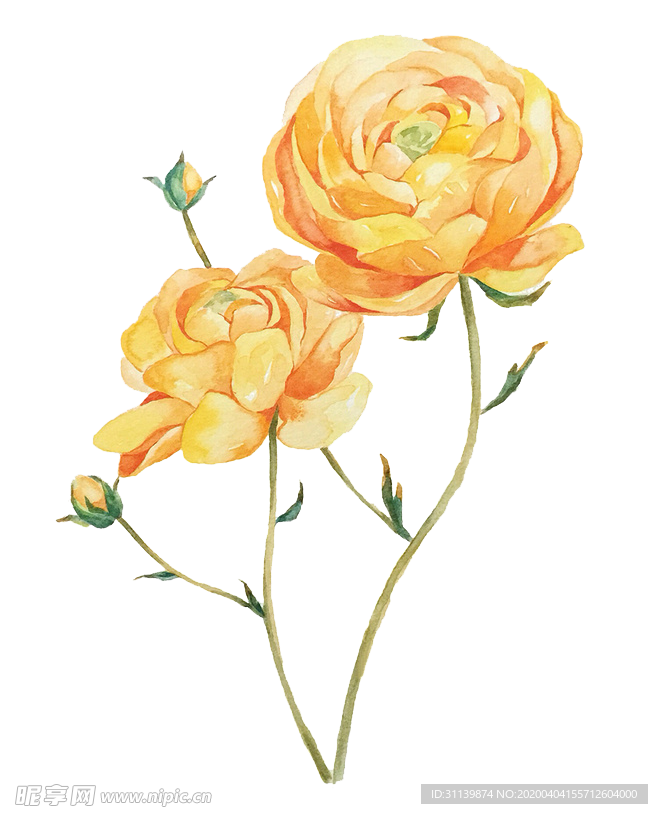 玫瑰花