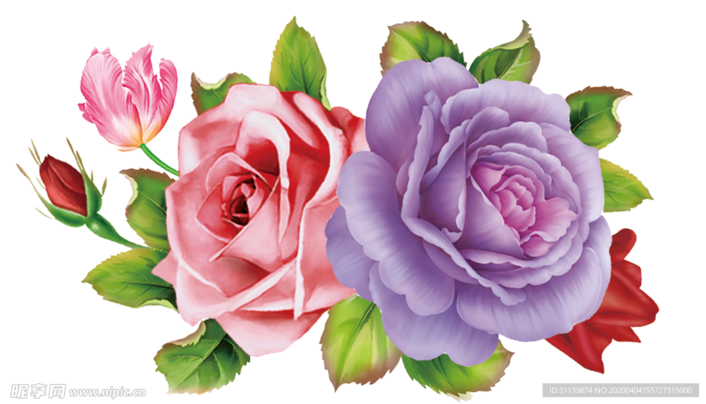 玫瑰花