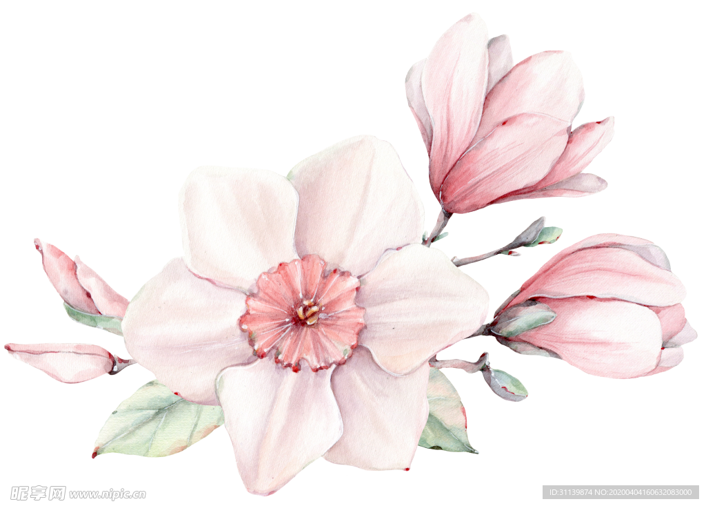 手绘花