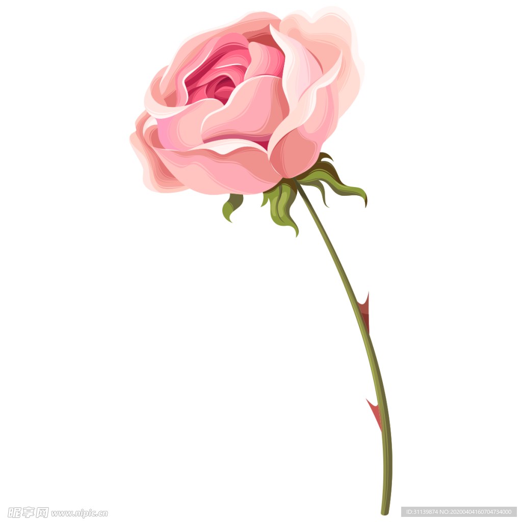 玫瑰花