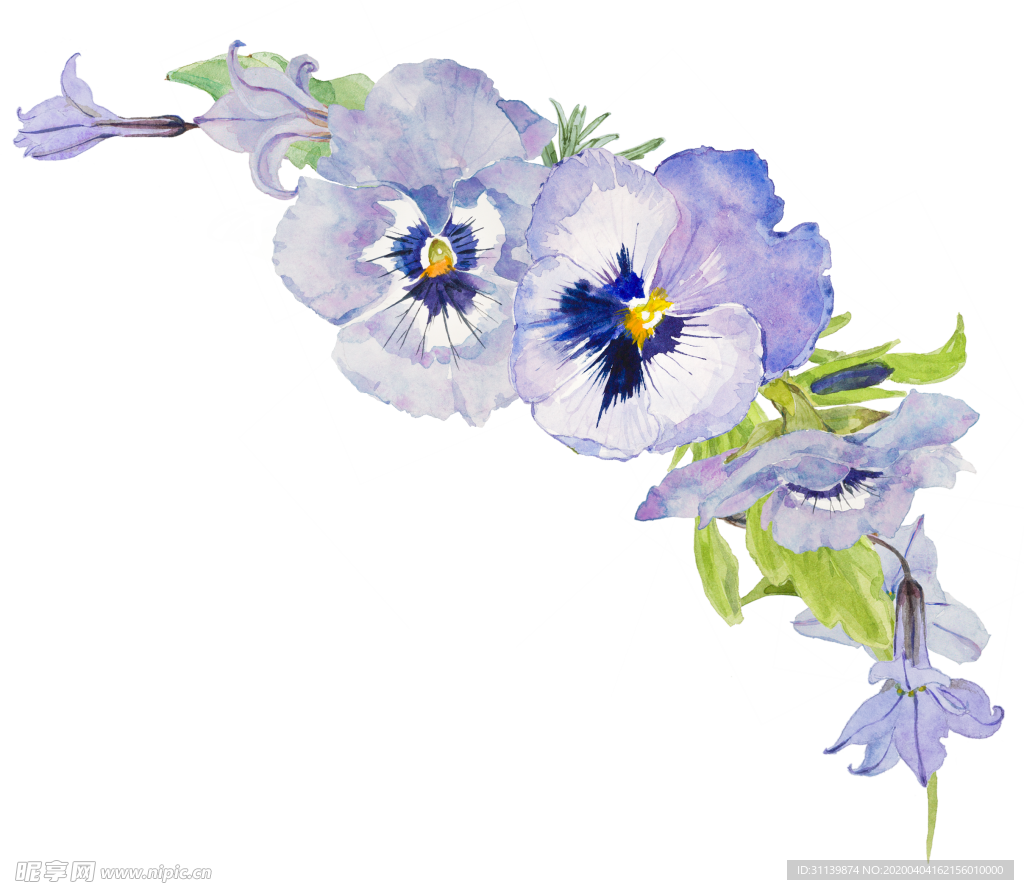 手绘花