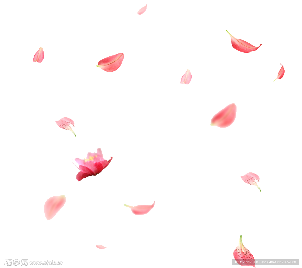 花瓣背景