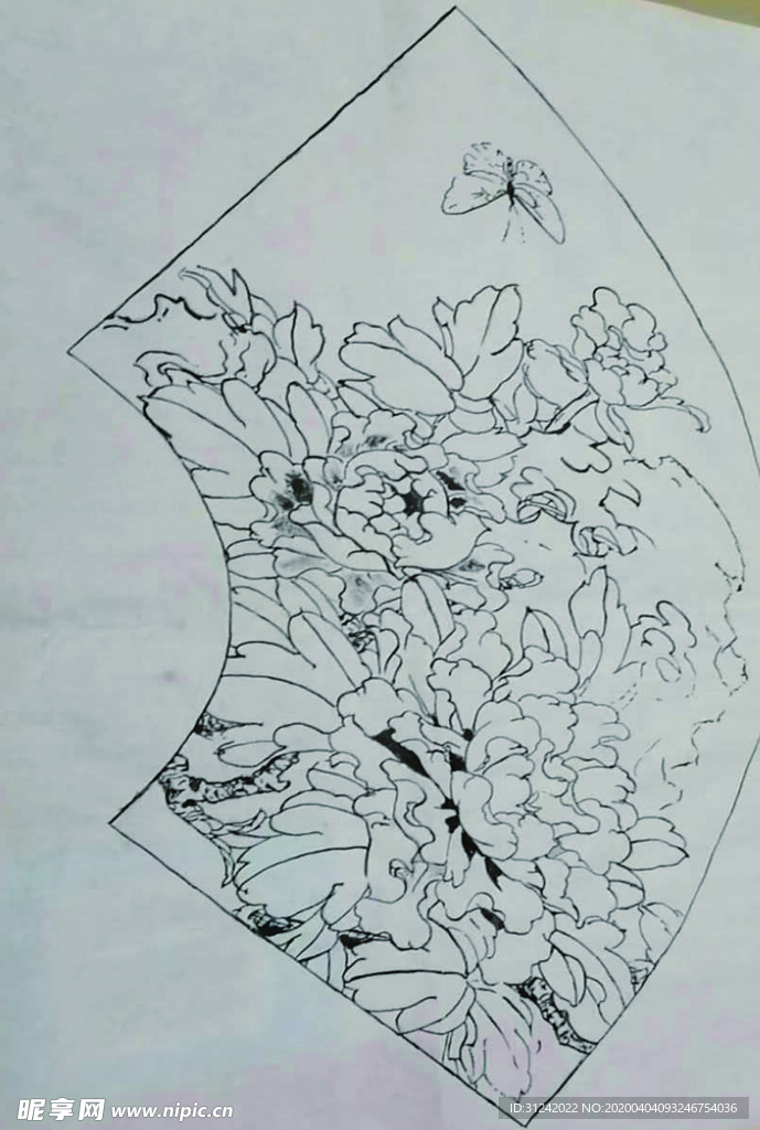牡丹