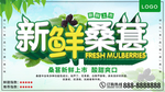 桑葚