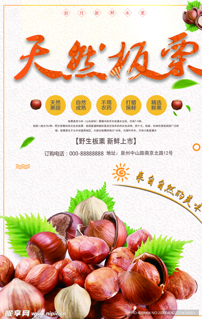 板栗