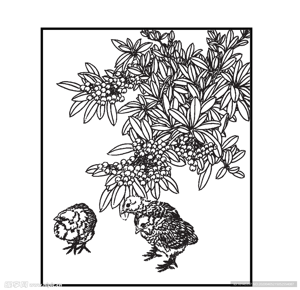 小鸡与果实