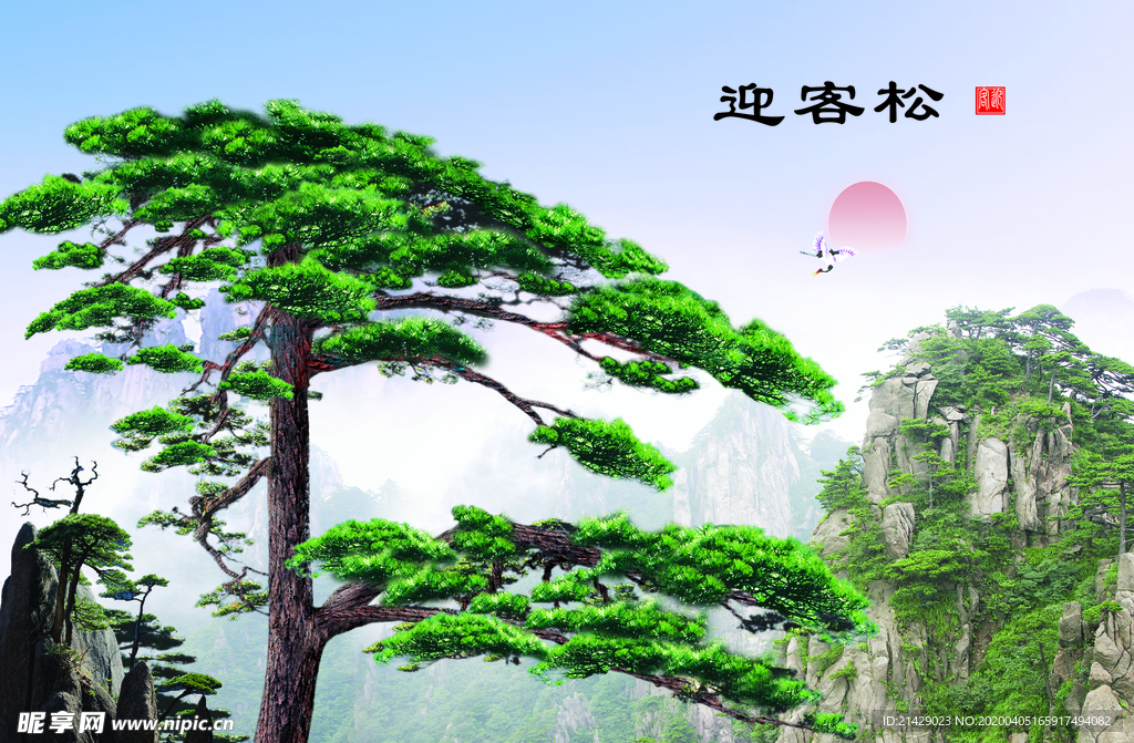 迎客松