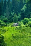 青山中的小屋