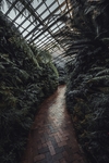 植物园绿植