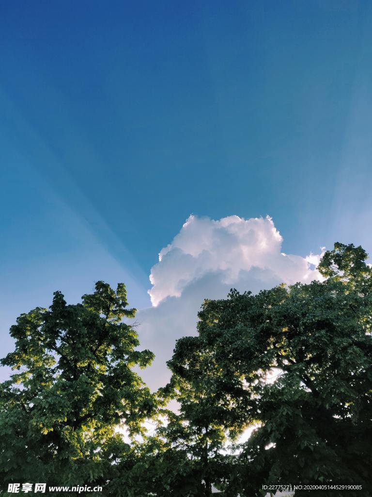 白云绿树